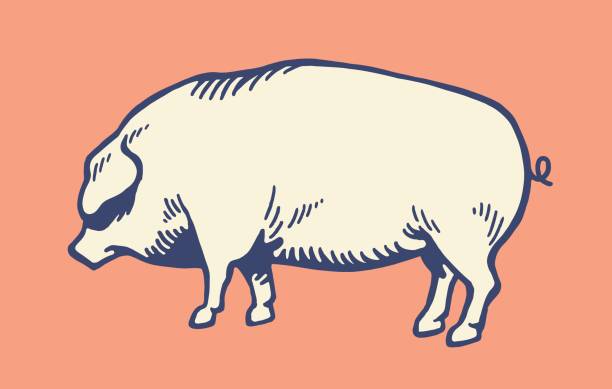 The Double Trap: Pig Butchering Recovery Scams