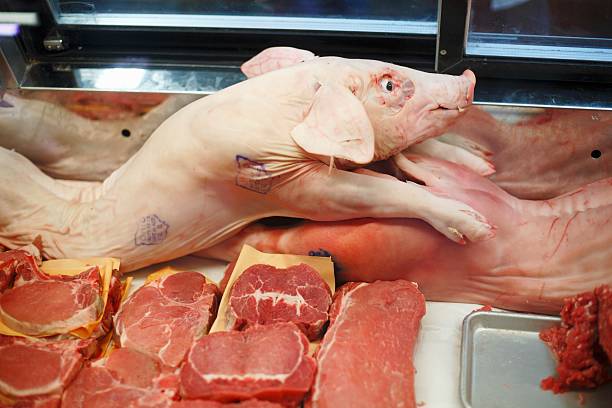 The ’Wrong Number’ Text That Could Empty Your Bank Account: Inside the Pig Butchering Crypto Scam