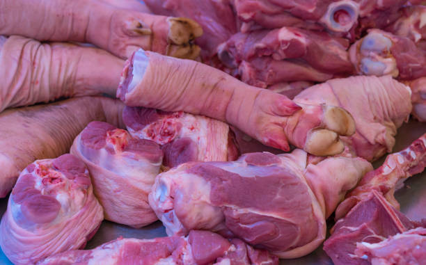 The ‘Wrong Number’ Text That Leads to a Pig Butchering Crypto Scam